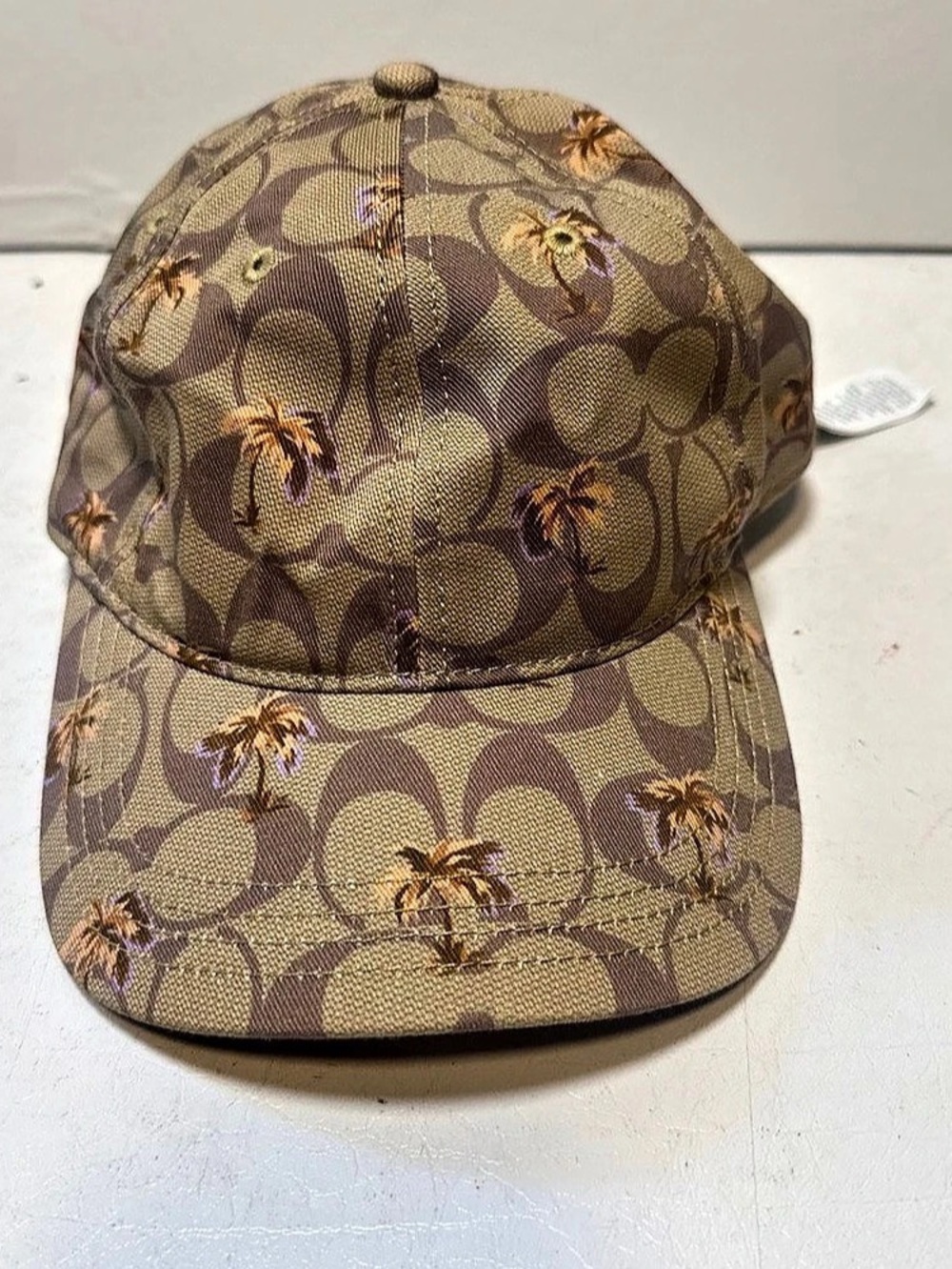 Coach Monogram Palm Tree Baseball Cap in Brown
